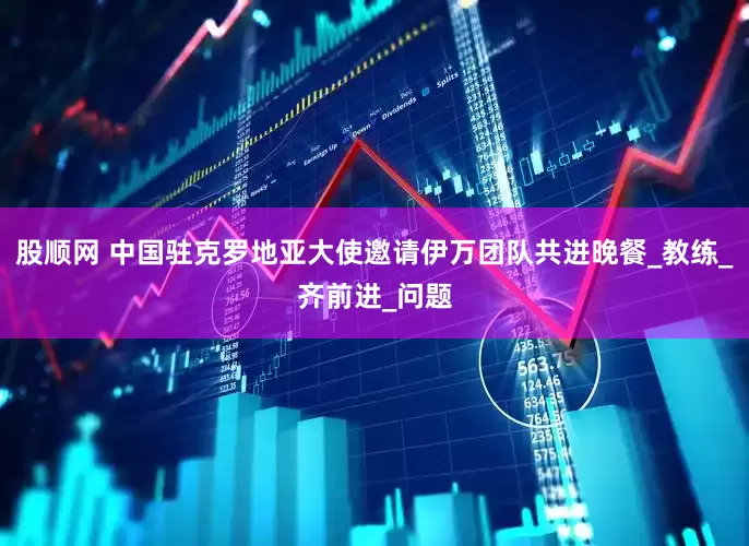 股顺网 中国驻克罗地亚大使邀请伊万团队共进晚餐_教练_齐前进_问题