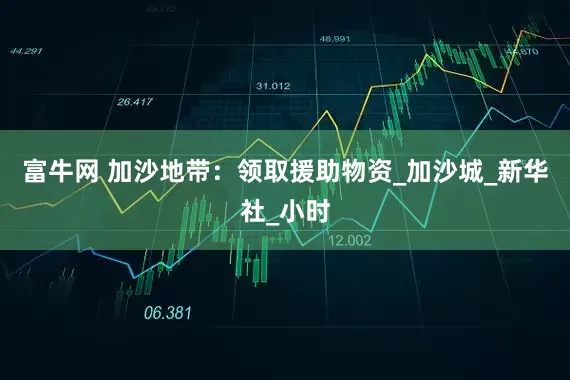 富牛网 加沙地带：领取援助物资_加沙城_新华社_小时